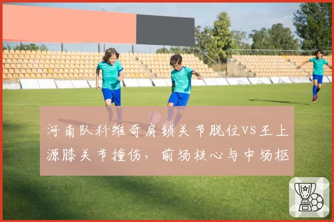 河南队科维奇肩锁关节脱位vs王上源膝关节撞伤，前场核心与中场枢纽伤停影响对比
