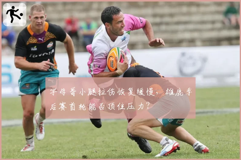 字母哥小腿拉伤恢复缓慢，雄鹿季后赛首轮能否顶住压力？