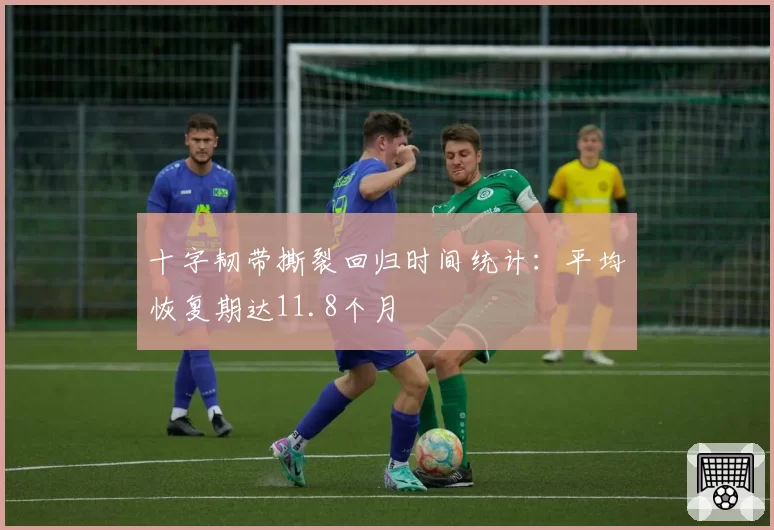 十字韧带撕裂回归时间统计:平均恢复期达11.8个月