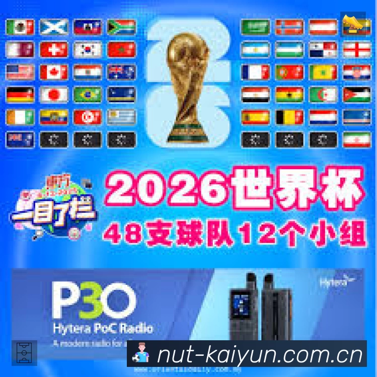 开云App亮点：多维搜索、热门结果与直达入口